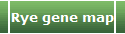 Rye gene map