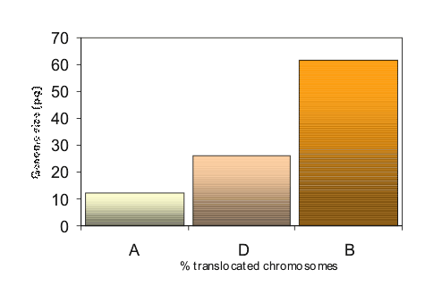 translo-diagram1
